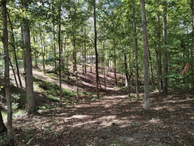 Kentucky Lake Lot For Sale in Buchanan Tennessee