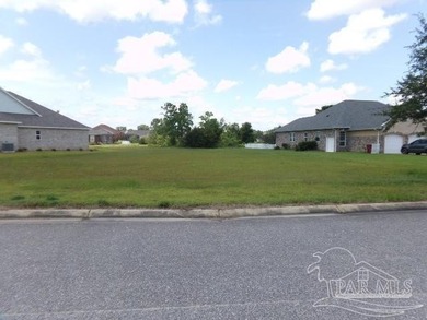 Vacant dry Lot and mostly cleared and backs up to a beautiful - photo 3