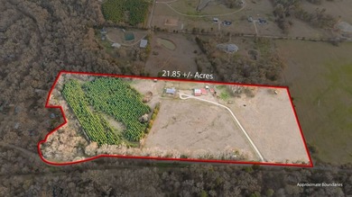 Franklin County, Winnsboro, Mt. Vernon & Lake Cypress Springs - photo 2