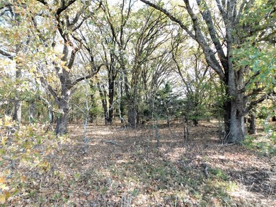 35 + or - acres just waiting to make your dreams come true! This - photo 10