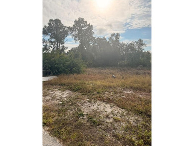 Lehigh Acres Area Lot For Sale in Lehigh Acres Florida