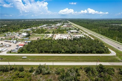 Up for sale is an assemblage of 5 parcels on the SW corner of - photo 2