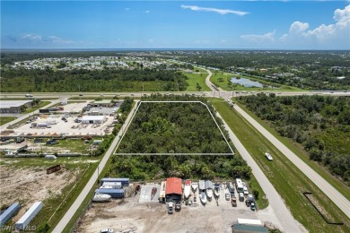 Up for sale is an assemblage of 5 parcels on the SW corner of - photo 5