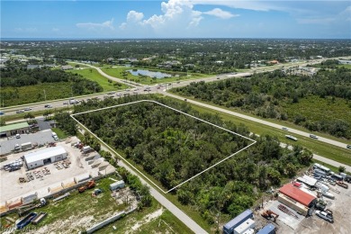 Up for sale is an assemblage of 5 parcels on the SW corner of - photo 7