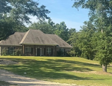 (private lake, pond, coastal) Home For Sale in Poplarville Mississippi