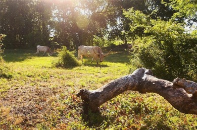 Lake Texoma Acreage For Sale in Pottsboro Texas