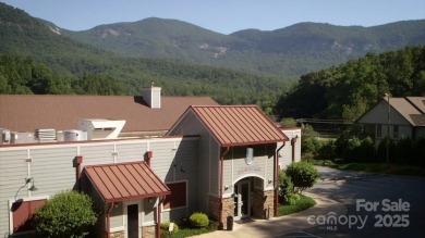 Lake Acreage For Sale in Lake Lure, North Carolina