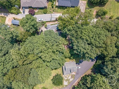 Just in time for Summer. Enjoy the Lake Lanier lifestyle without - photo 41