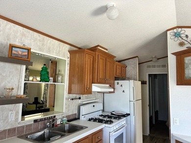 ADORABLE PARK MODEL with vinyl plank flooring, tinted windows - photo 6
