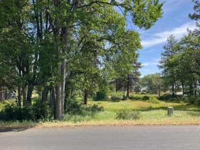 Upper Klamath Lake Lot For Sale in Klamath Falls Oregon