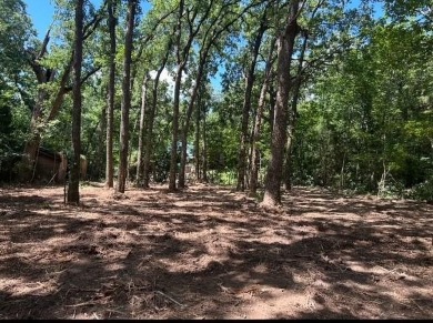 Cedar Creek Lake Lot For Sale in Mabank Texas