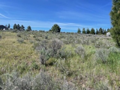 Agency Lake Lot For Sale in Chiloquin Oregon