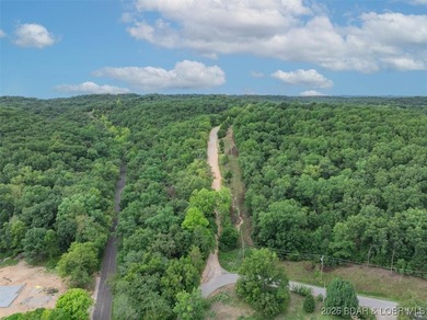 Here is an outstanding Offering of Land Tracts and a large - photo 10