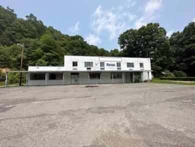 Lake Commercial For Sale in Surveyor, West Virginia