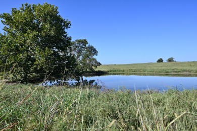 (private lake, pond, creek) Home For Sale in Holdenville Oklahoma