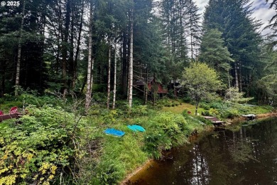 Lake Lot For Sale in Birkenfeld, Oregon