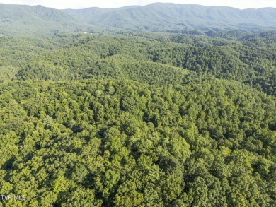 Lake Acreage For Sale in Bristol, Tennessee