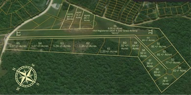 Wholesale opportunity to buy 174 recorded and surveyed lots - photo 3