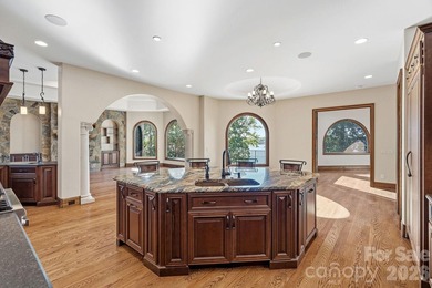 Where luxury meets the water's edge! This exquisite waterfront - photo 8