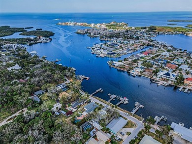 PRICED TO SELL!!!!!! Don't miss this opportunitye for the view - photo 9