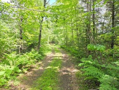(202/AS) Peace and tranquility encapsulate this Northwoods - photo 16