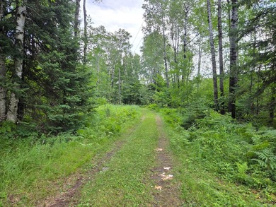 (202/AS) Peace and tranquility encapsulate this Northwoods - photo 17