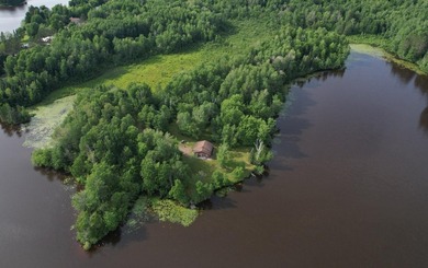 (202/AS) Peace and tranquility encapsulate this Northwoods - photo 22