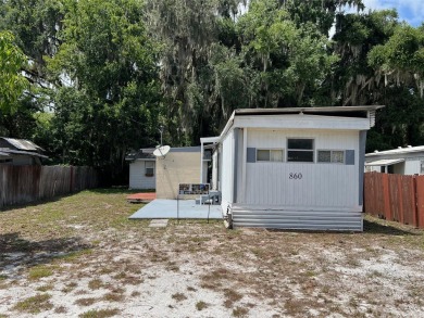 Lake Home For Sale in Lake Panasoffkee, Florida