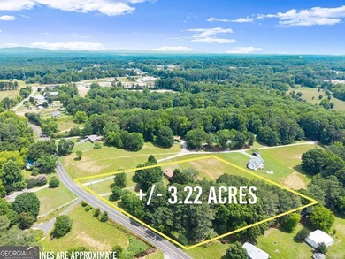 Discover the possibilities with this charming brick ranch - photo 3