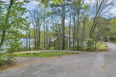 Discover a rare opportunity to own a premier lakefront homesite - photo 10