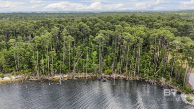 (private lake, pond, coastal) Lot For Sale in Gulf Shores Alabama