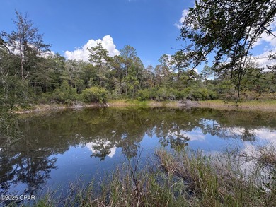 Boat Lake Lot For Sale in Chipley Florida