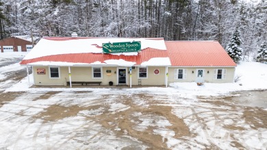Lake Commercial For Sale in Ossipee, New Hampshire
