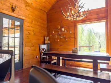 SELLER BONUS:  Boat and Trailer INCLUDED!  CALL SOON! - photo 13