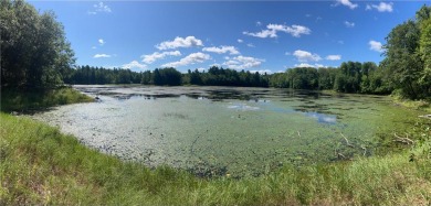 Lake Lot For Sale in Birchwood, Wisconsin