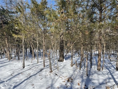 Lake of the Ozarks Acreage For Sale in Stover Missouri