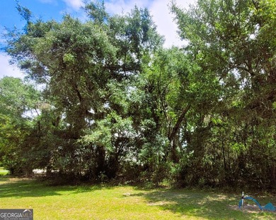 Begin your coastal lifestyle in the custom home community of - photo 13