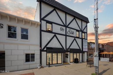 Lake Condo For Sale in Elizabethton, Tennessee
