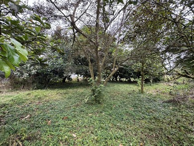 3 bedroom, 2 bath home built in 1991, located in Ainaloa - photo 22