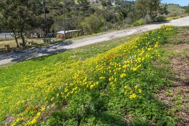 Outstanding opportunity in desirable Laguna Seca Heights. This 2 - photo 28