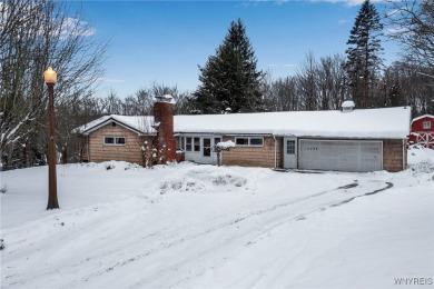 Lake Home For Sale in Concord, New York