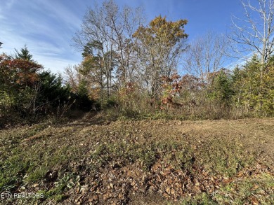 Lake Lot For Sale in Loudon, Tennessee