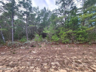 Build your future in the fast-growing Sunny Hills community - photo 3