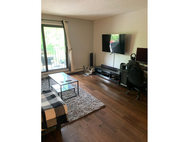 Stunning, updated 2 bed 2 bath condo in superb Minnetonka - photo 4
