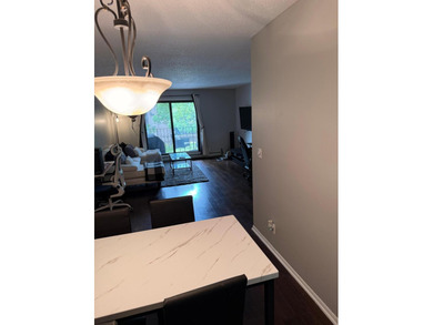 Stunning, updated 2 bed 2 bath condo in superb Minnetonka - photo 6