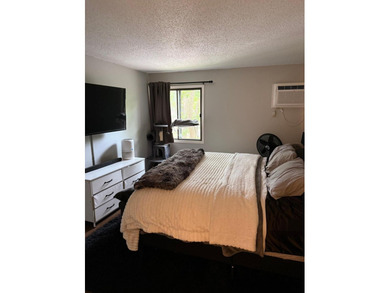 Stunning, updated 2 bed 2 bath condo in superb Minnetonka - photo 9