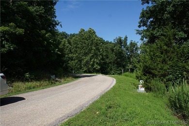 Here is one of the best kept secrets of Lake of the Ozarks - photo 3