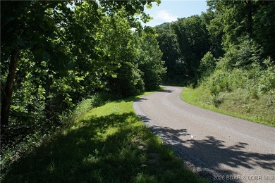 Here is one of the best kept secrets of Lake of the Ozarks - photo 4