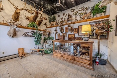 Incredible Commercial Opportunity in Prime Osage Beach Location - photo 8
