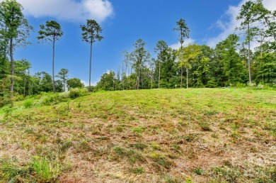 Lake Wylie Acreage For Sale in York South Carolina